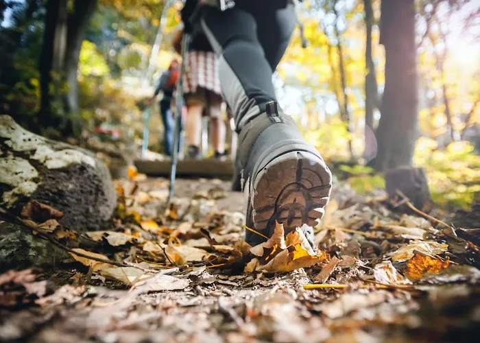 Weitblick Apartahotel